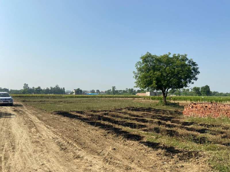 latest property