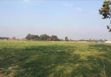 latest property
