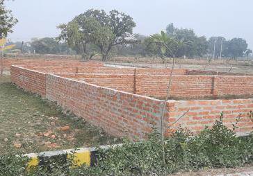 latest property